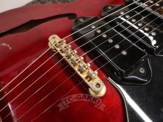 Epiphone 2012 RIVIERA Custom P-93_15