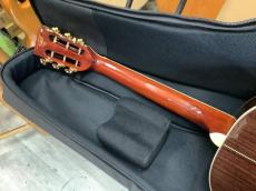 Aria Dreadnought ADL-935 オール単板 ニューヨーカーモデル　スロテッドヘッド_9