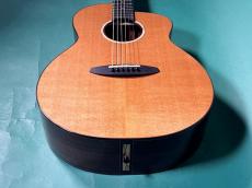 aNueNue aNN-LF660_11