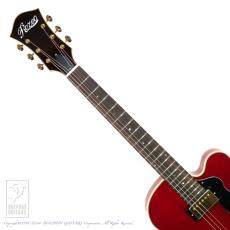 Rozeo Ladybug SM-TBC HB/CH_6