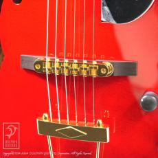 Rozeo Ladybug SM-TBC HB/CH_12