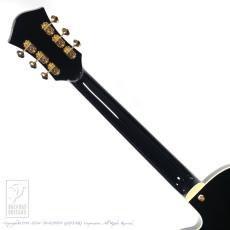 Rozeo Ladybug SM-TBC/BLK_7