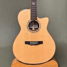 Morris S-101III Trinity