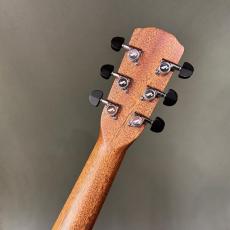 Morris S-101III Trinity_6