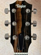 Taylor 【即納可能!!】212ce Plus 【エレキプレイヤーにも!!】【送料当社負担・最大48回無金利】_5