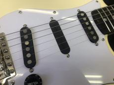 GrassRoots G-SE-58R SC / RB Custom_4