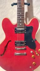 Epiphone DOT_2