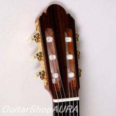 Kodaira　[小平] AST-100L(630mm)_3