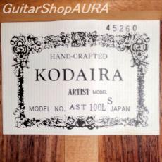 Kodaira　[小平] AST-100L(630mm)_5