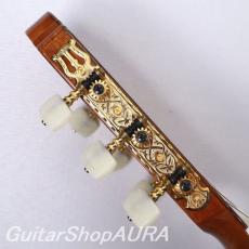 Kodaira　[小平] AST-100L(630mm)_8