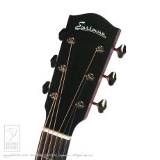 Eastman E1-SS-SB_7