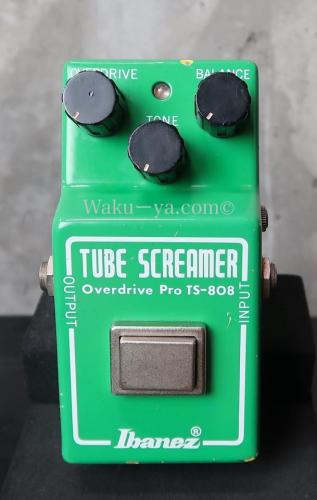 Ibanez '79 TS-808 TUBE SCREAMER / Narrow Case