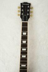 Edwards E-LP-VINTAGE -59 Burst- #ED5900243 【限定生産モデル】【オールラッカー】_5