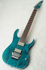 Ibanez HZK1 "HAZUKI Signature" #F2612091 【NEMOPHILA / KOIAI】_2