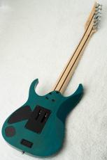 Ibanez HZK1 "HAZUKI Signature" #F2612091 【NEMOPHILA / KOIAI】_7