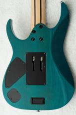 Ibanez HZK1 "HAZUKI Signature" #F2612091 【NEMOPHILA / KOIAI】_8