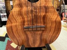Kamaka HF-2 Kukui #25K0029【コンサートサイズ】【48回無金利対象】_10