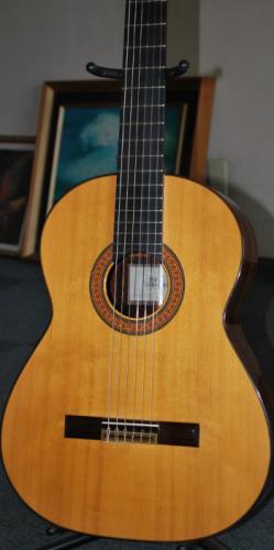 中山修 Osamu Nakayama　ハカランダモデル