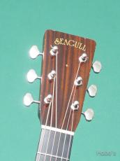 Seagull by M.Shiozaki (塩崎 雅亮) OO-50 Aged 1937 TA/A01_3