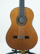 ARIA A-100C(管理番号5041)_3