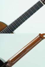 ARIA A-100C(管理番号5041)_5