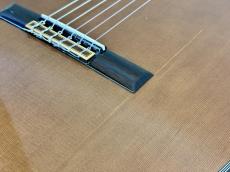 ARIA A-100C(管理番号5041)_8