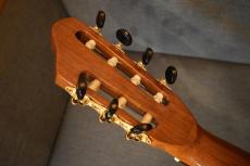 TRmusic rose7th-c PE【USED】_6