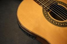 TRmusic rose7th-c PE【USED】_9