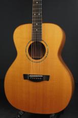 Jeff Robertson OM-20R_2