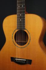 Jeff Robertson OM-20R_3