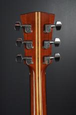 Jeff Robertson OM-20R_8