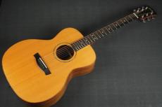 Jeff Robertson OM-20R_10