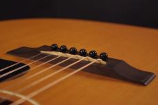 Gibson G-45_6