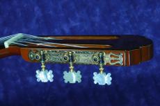 Kohno Masaru [河野賢] NO.20　松/ハカランダ　1976年_5