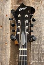 Collings MF Mandolin "Honey Amber" '22_5