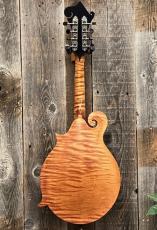 Collings MF Mandolin "Honey Amber" '22_6