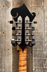 Collings MF Mandolin "Honey Amber" '22_7