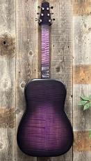 Beard Josh Swift Signature_6