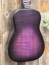 Beard Josh Swift Signature_8