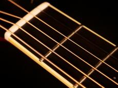 Larrivee P-09 Limited Edition【限定30本 アディロンダックスプルース仕様の特別モデル! 1オーナー品の極上モノです! 】解説試奏動画御覧ください。_12