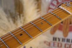 Fender Stratocaster American DLX _8