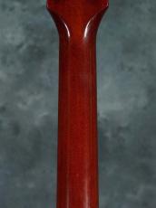 Gibson 1964 ES-125TC_12