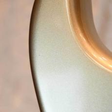 Fender American Elite Stratocaster_5