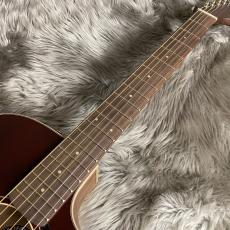 Fender Newporter Special -Honey Burst【現物画像 】【最大36回分割無金利 実施中】_10