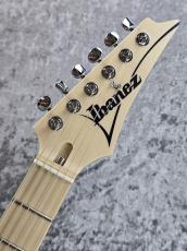 Ibanez AT100CL 【Andy Timmons Model】「現物写真」_6