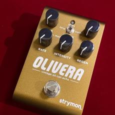 strymon Olivera 【オイル缶エコーの甘美な響き】_2