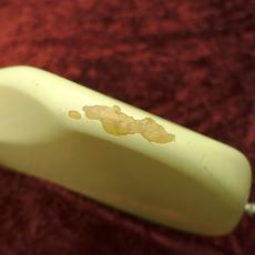 Fender Japan PB62-53 Vintage White【1993年～1994年製】_11