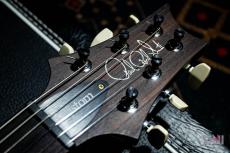 Paul Reed Smith [PRS] Custom24 10Top Faded Whale Blue (Pattern Thin Neck) / 2024_6