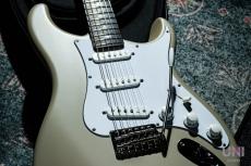 Paul Reed Smith [PRS] Silver Sky John Mayer Signature Model (Rosewood) / 2023