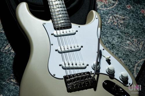 Paul Reed Smith [PRS] Silver Sky John Mayer Signature Model (Rosewood) / 2023